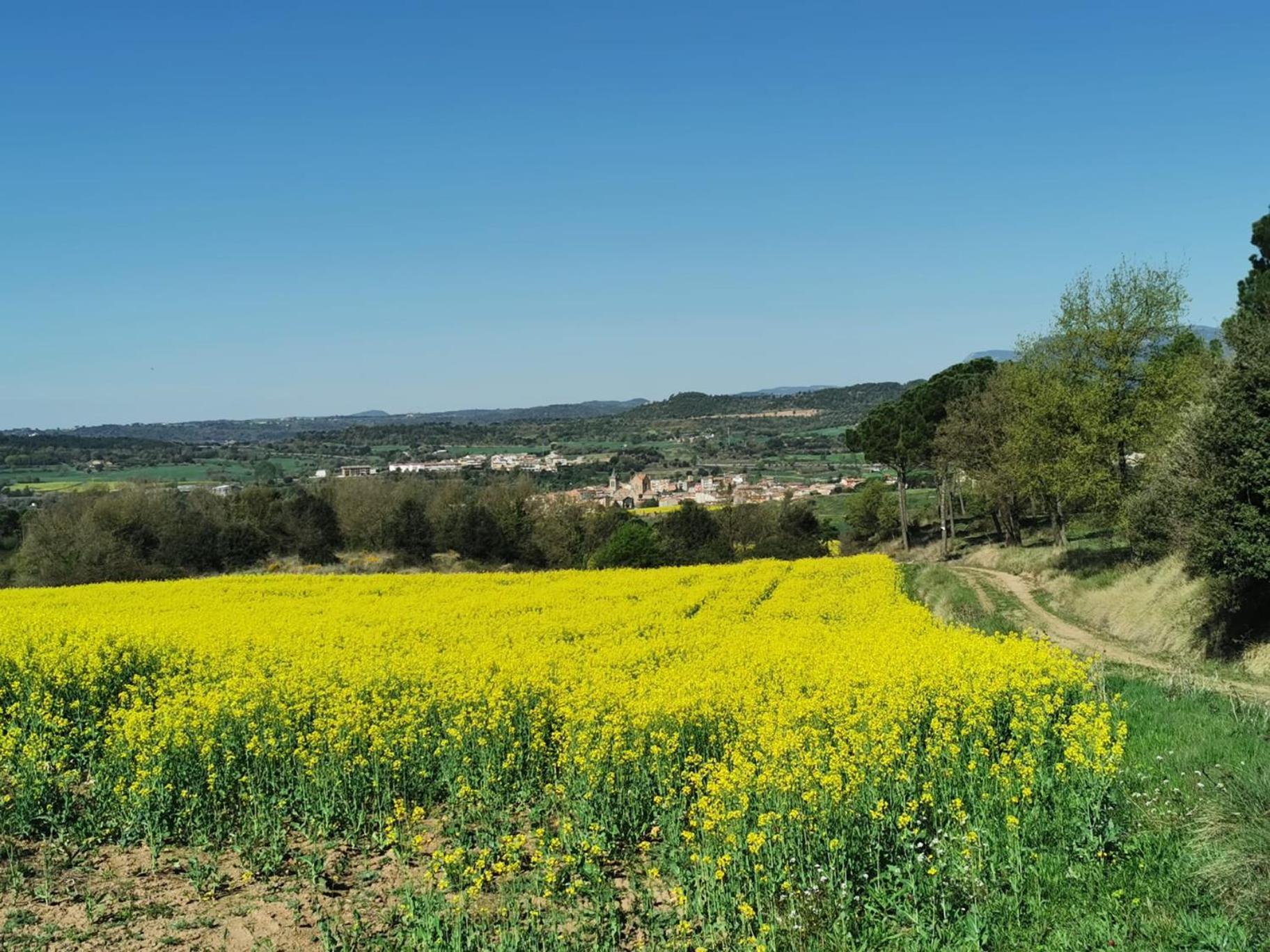 Ca L'Herminia Gironella Esterno foto